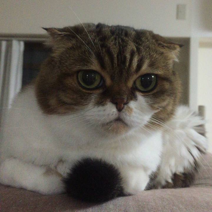 624d9d70 11c3 45b6 9682 322844ea8af3