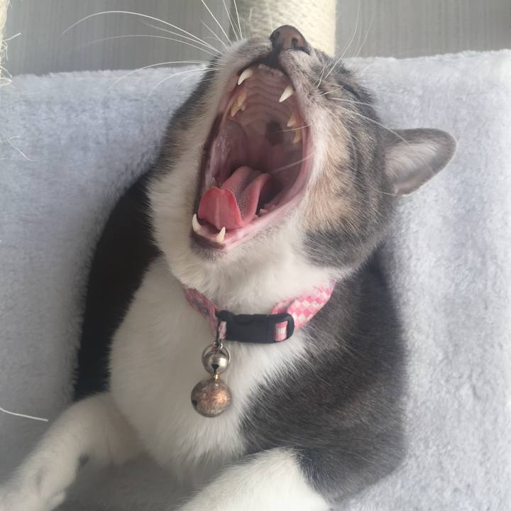 624e1ef5 9c34 490e a8a0 9094ab58959d