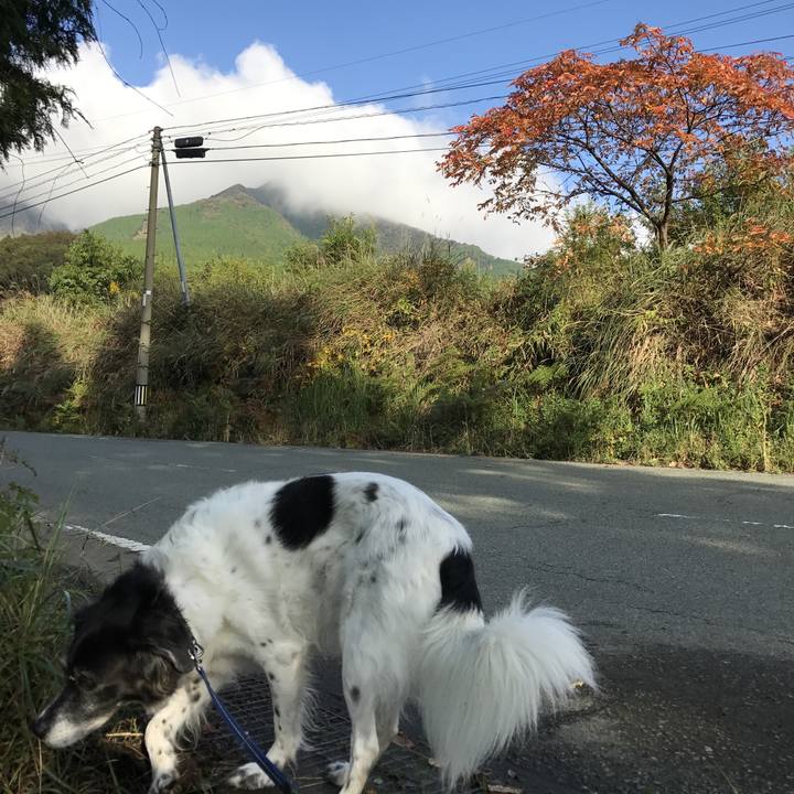 624e542f 582b 476b 9f20 9cfb79f2f190