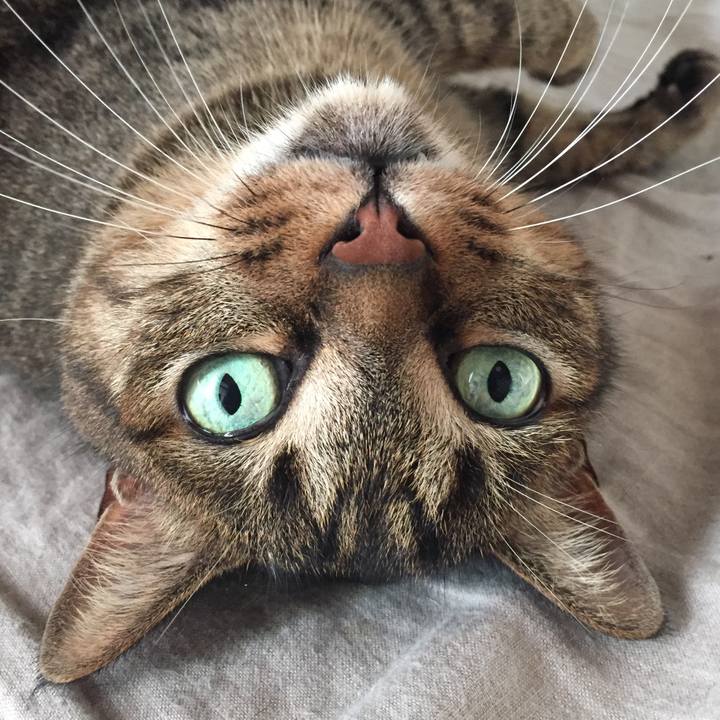 624e6bdb b8b1 469a 8f5a f46a47620cfc