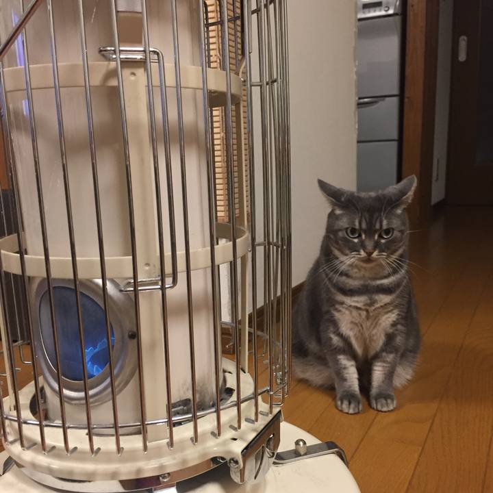 624e7ceb 2258 499b a7ba ceed9e593351