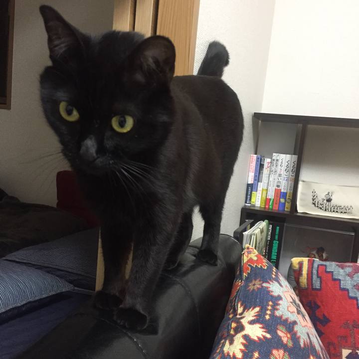 624e9ce2 49da 4537 abdd b4b6a6124341