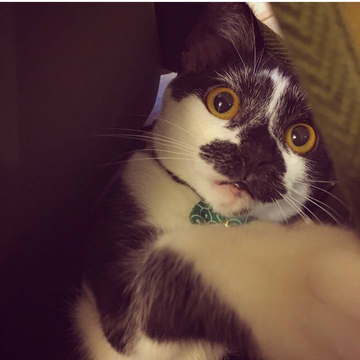 624ed616 09dd 481d a190 2594ab89132b