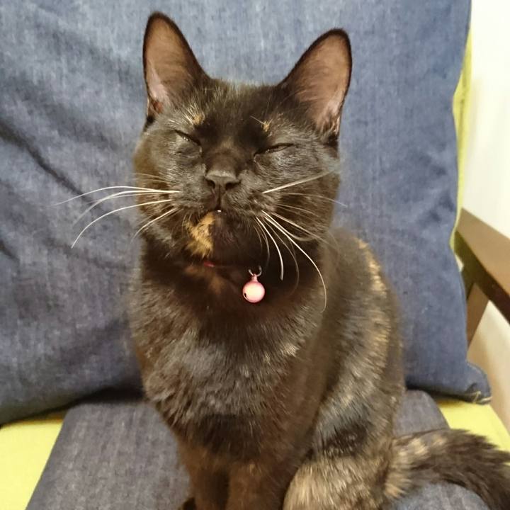 624edd2e 41da 410a bf99 b971c80b5f7d