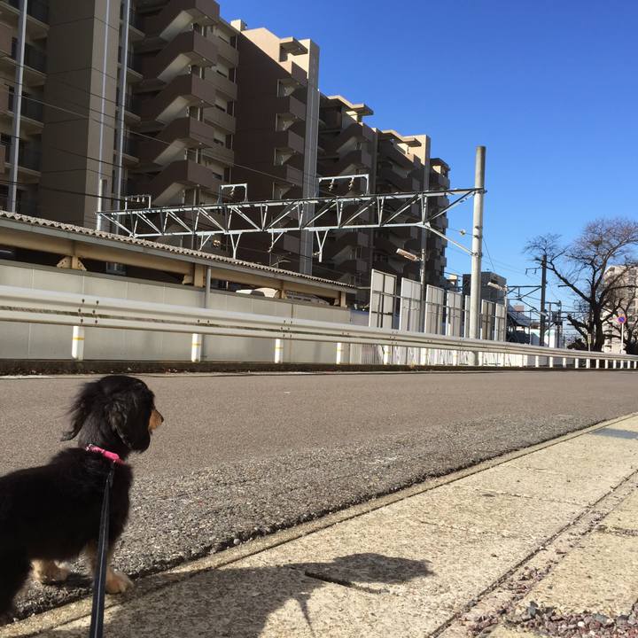 624fe640 8a7a 49f3 bdc9 8c495b8f3d14