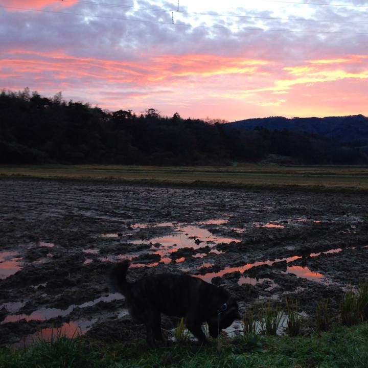 624ffd38 4aa9 46d3 a8c7 0d5ad64caeb5