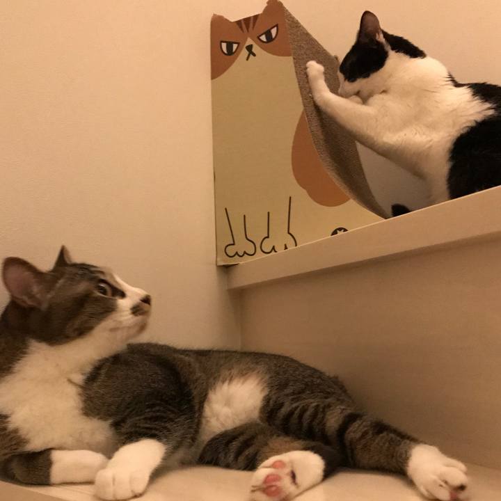 62502712 34bd 456f b2c6 4b18e75f6117