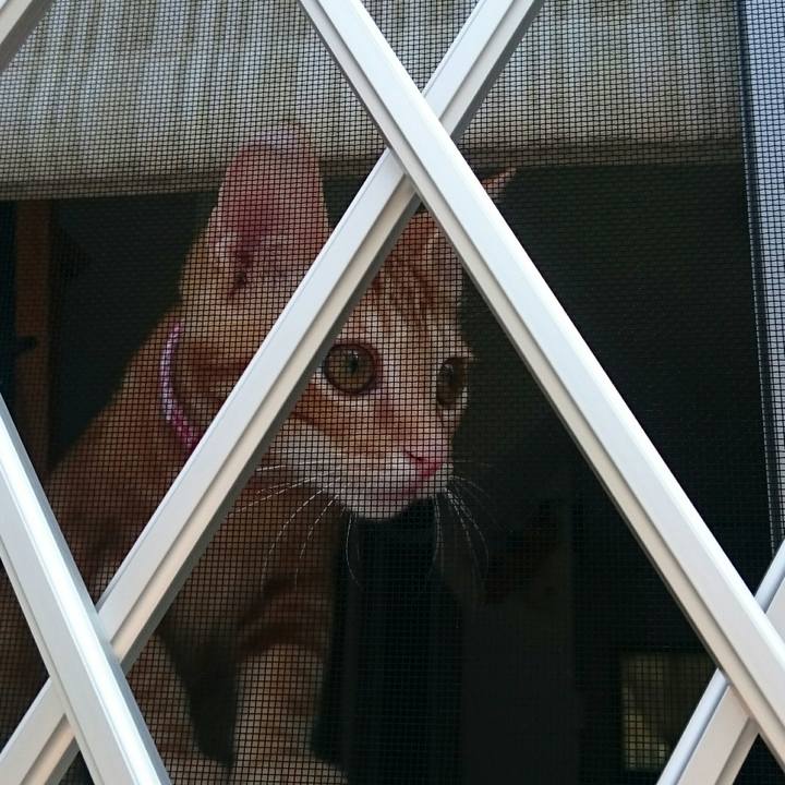 6250d23f dbb4 48fb 8b00 4f63db508efb