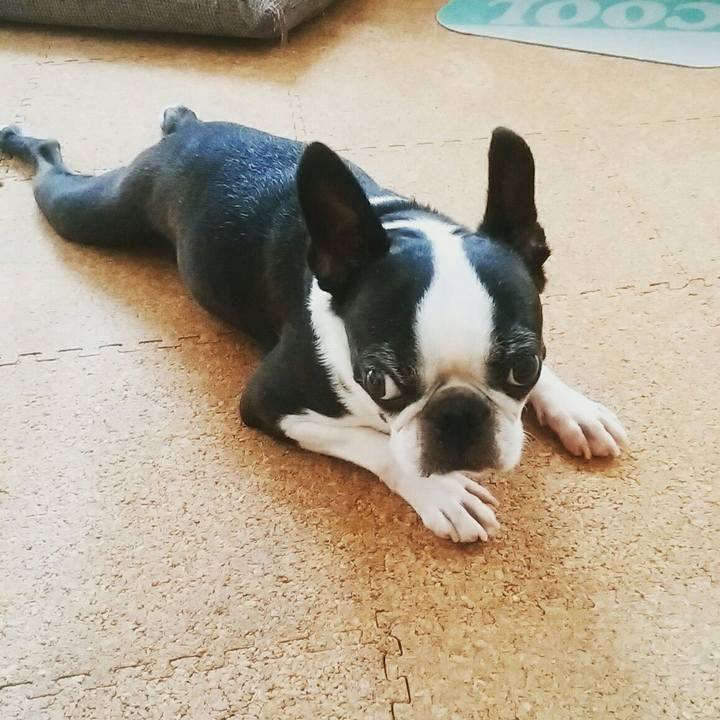 62510450 43e2 4207 aede 28b75d4ae35c