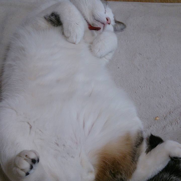 62514709 356e 4d9f 9916 73d0eb053ef3