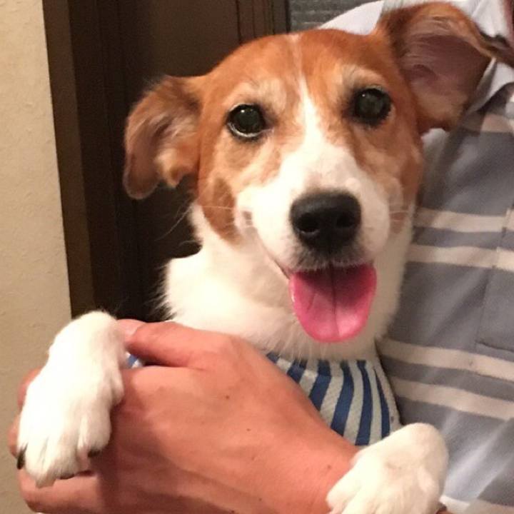 62514fc2 a1bf 4cc5 8451 61f78ad18224