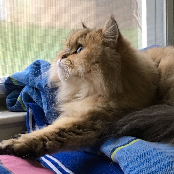 62515f69 f2b7 4feb 8f76 043c1d60d892