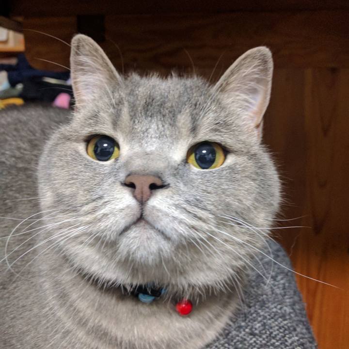 62533d64 43f4 40df 8b7b b435c103370e