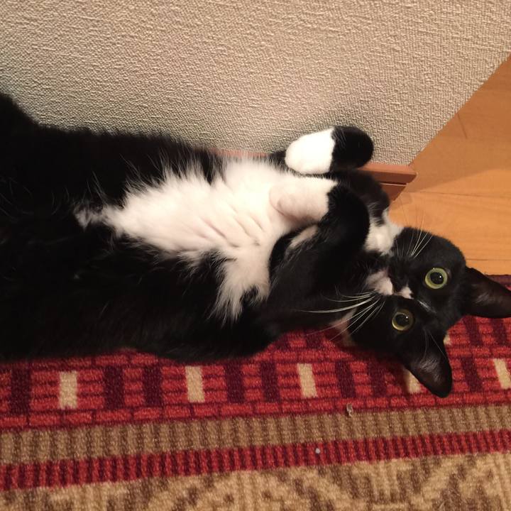 62537e66 a38f 4285 b4fa 1721c2e8efd0