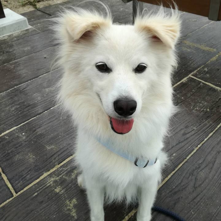 6253e5c1 1afe 4985 be40 2936cacf6465