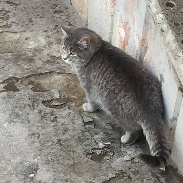 6253fdaf f434 47a9 bf87 cc9ca1b1d011