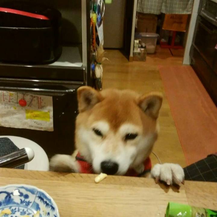 62549950 502b 41e1 8918 696880bc9103