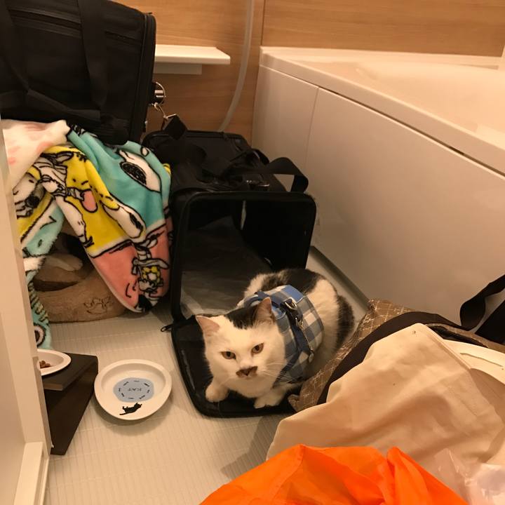 6254a867 b94f 4747 a616 08f7154afdd0