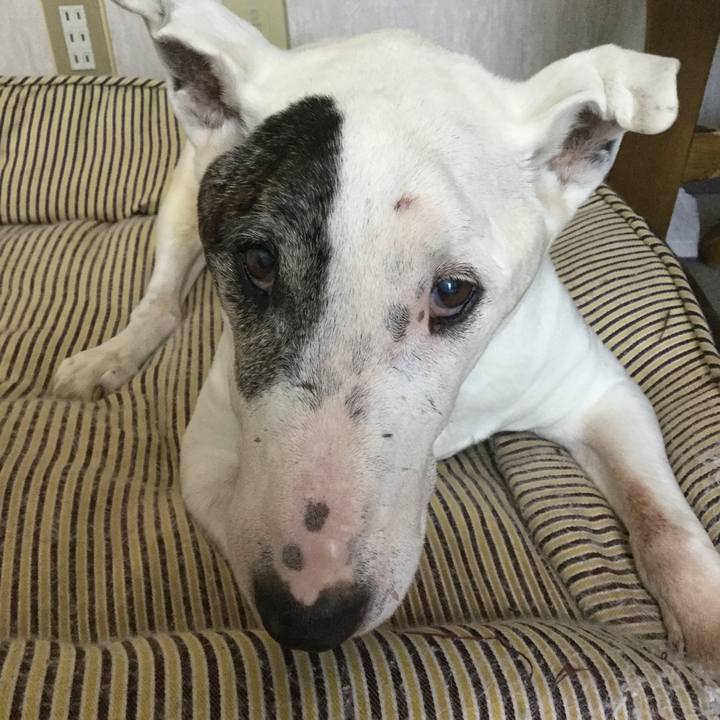 6254ae01 00dc 4b57 90e4 79c64f9586ff