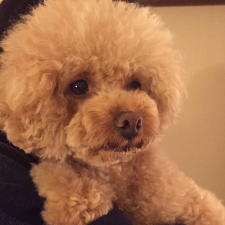 62553d20 ef98 41a5 ad02 adc7ea4425e6