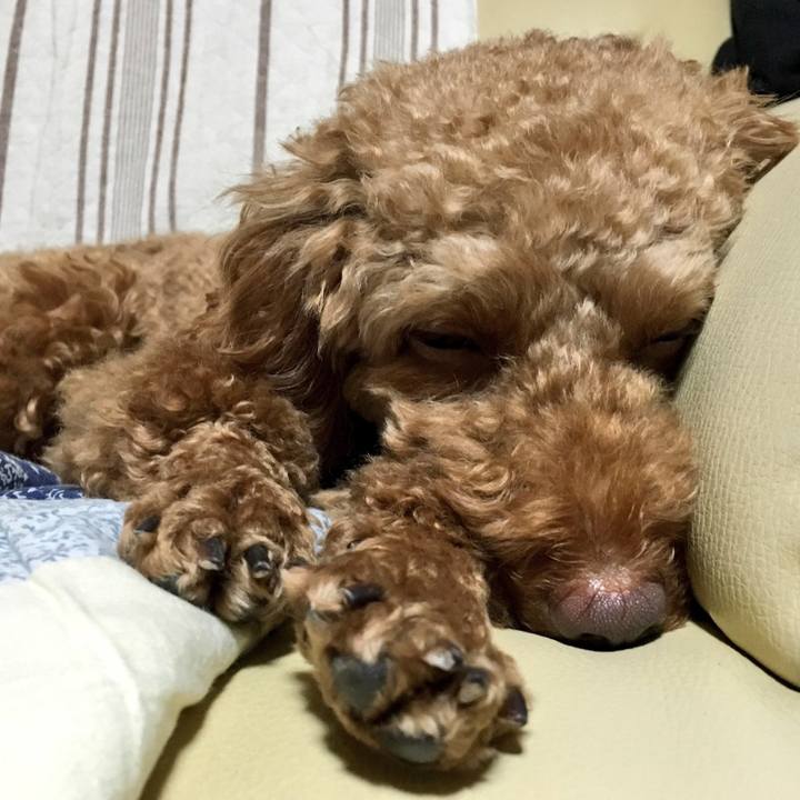 62556113 34c5 4685 9d6e 8727aac448b4