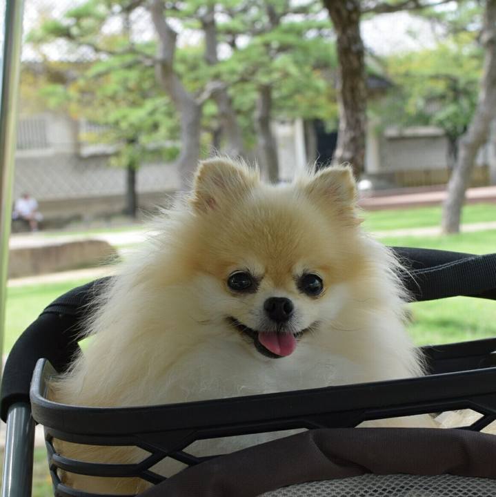 62561c26 d39e 4977 b274 46405e1b799b