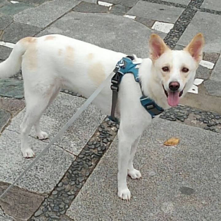 6256361c 4a87 4234 a10f d33949a75fd7