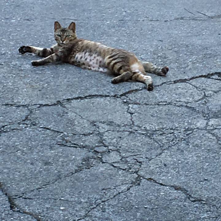 625698f5 a29f 434b 8ae8 3d2a2c638939