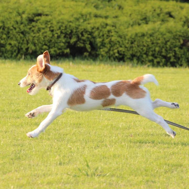 6256b567 f1b1 431a 802b eebe6d88413a