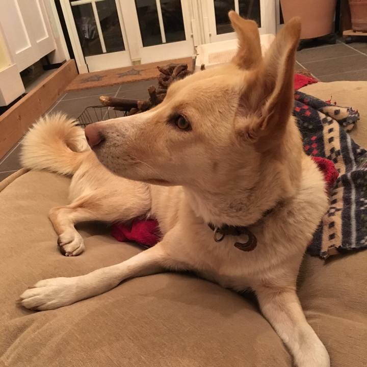 6258180d 4098 45fa 8702 f8b31aff6925