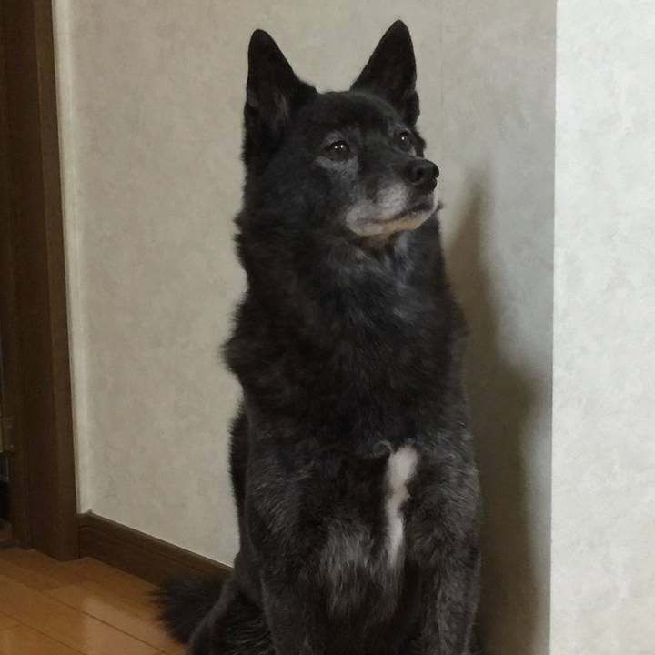 625834da 03fe 492c 9cdc bff973c483b0