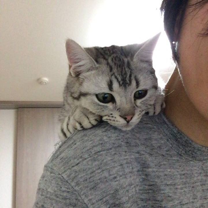 62585329 1dd7 4cb5 a42c 4fdc7d94595b