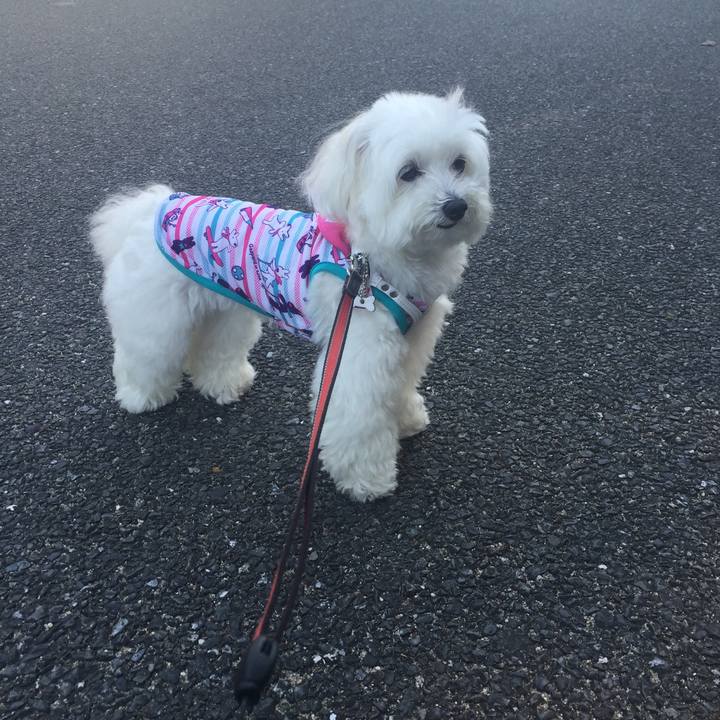 6258565e 8136 4128 b2e1 c7d1ceb52ecc