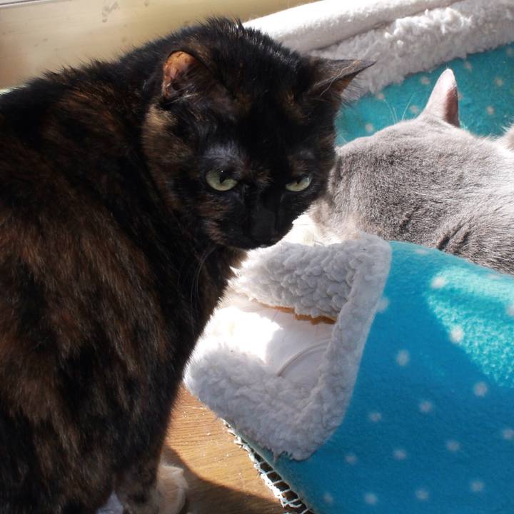 6258a001 53e0 45fe b574 2987d89f13ef