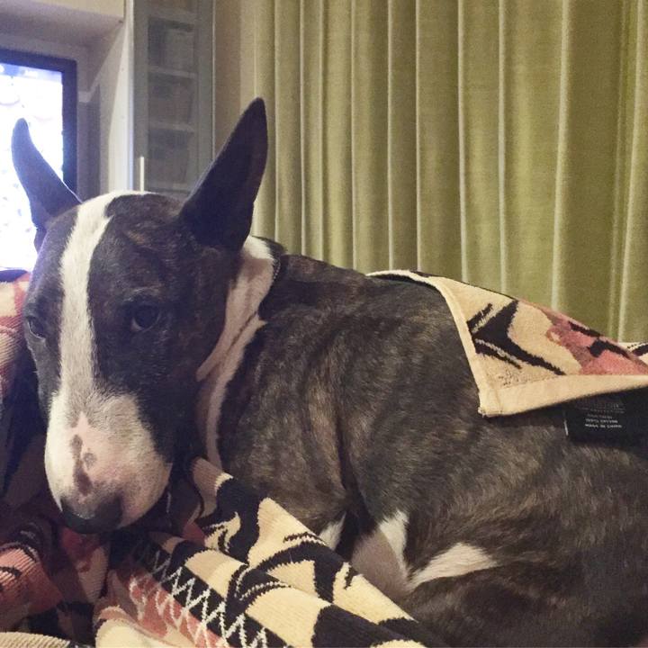 6258a978 49c5 4714 a31c b10076c2badb