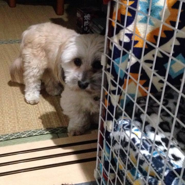 62590149 17bf 48d5 b70c 66ad6afc2eb3