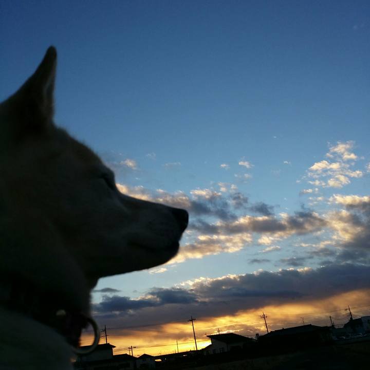 62598bb1 ec57 4172 b990 1a9132649c0c