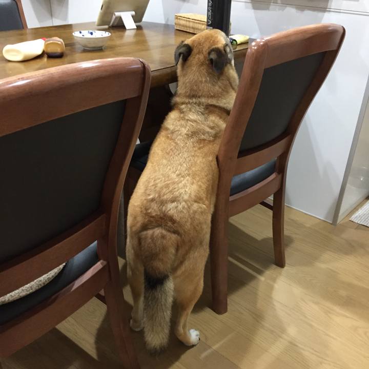 625b2996 b0c0 4d9e 8abc a76337ed8ff1