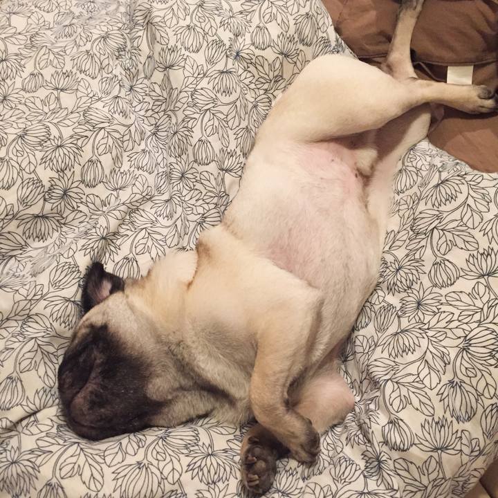 625b80a2 3b41 4e25 8a2b 39d47a89e2da