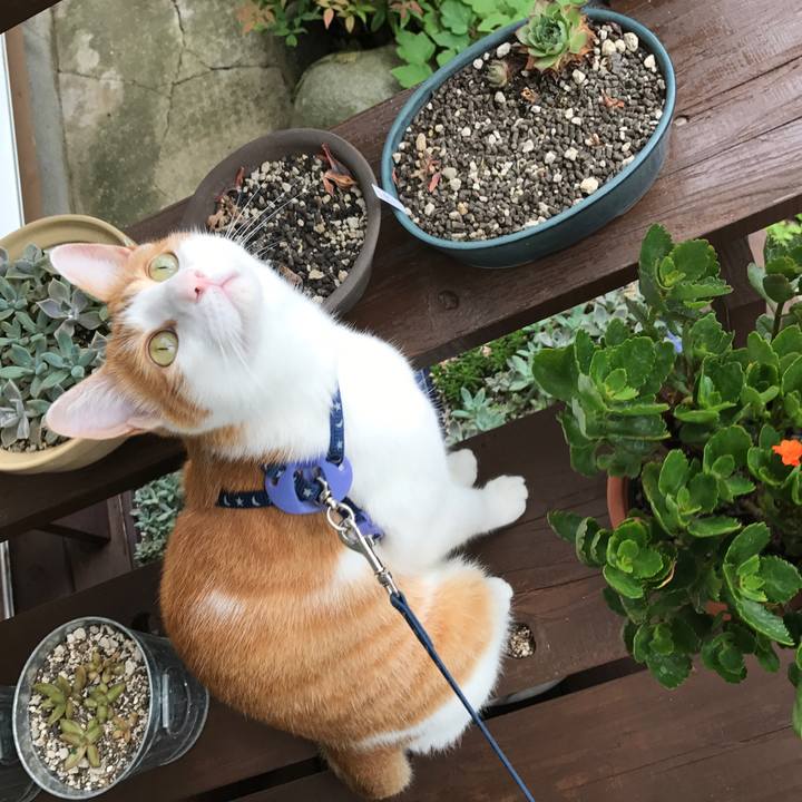 625c57ca 528f 411c b3c5 58be63d5b88c