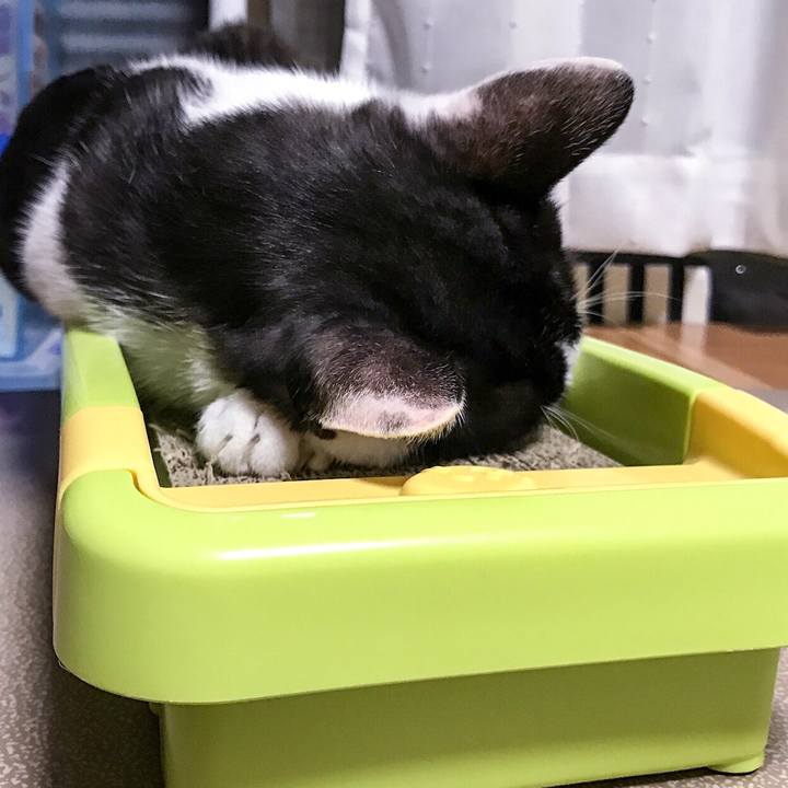 625cd111 07fb 4140 8c29 4c4db0124354