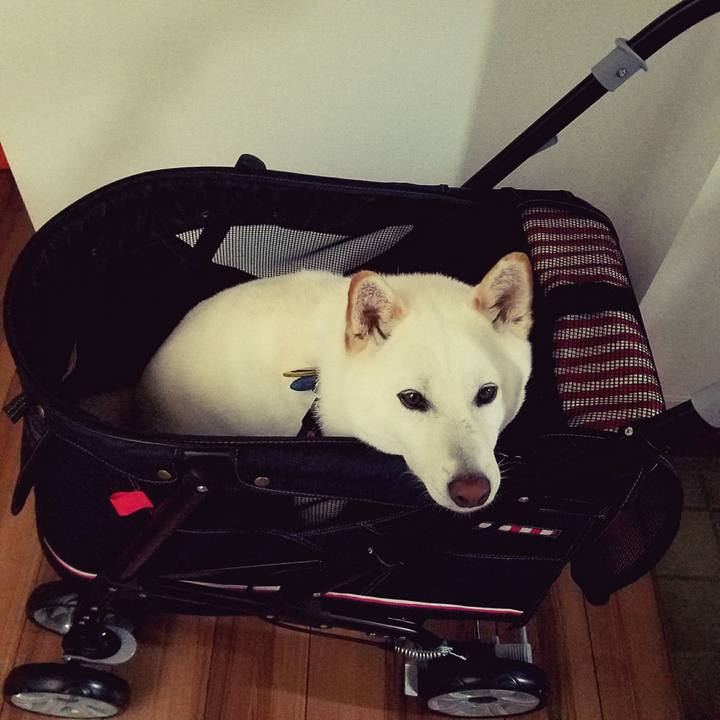 625d4194 b47a 45b9 97ec 7ab23fb00fb0