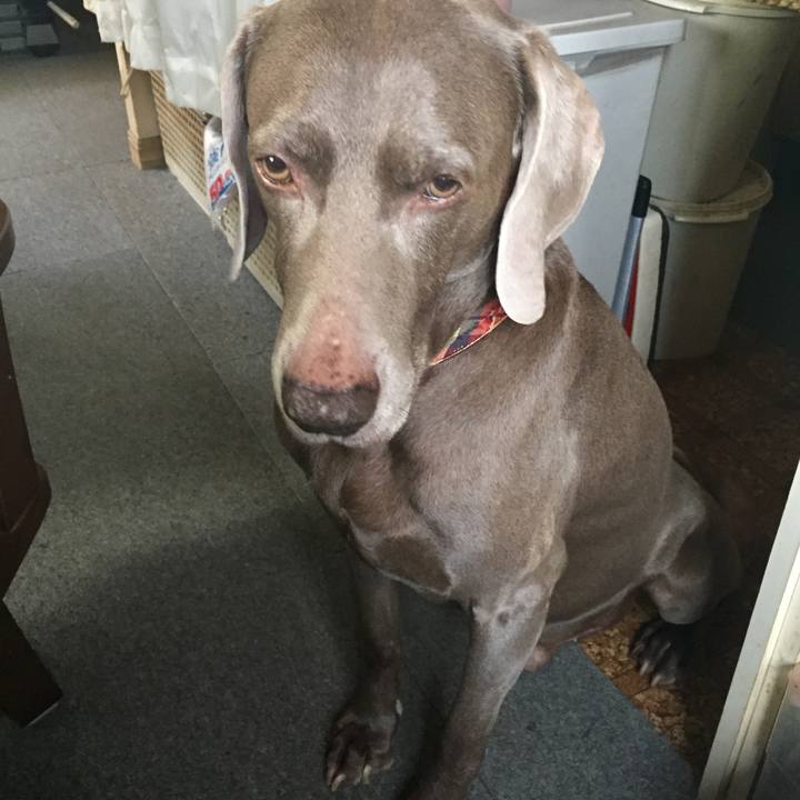 625dac77 a684 4fb1 9738 e0fedda5e4f9