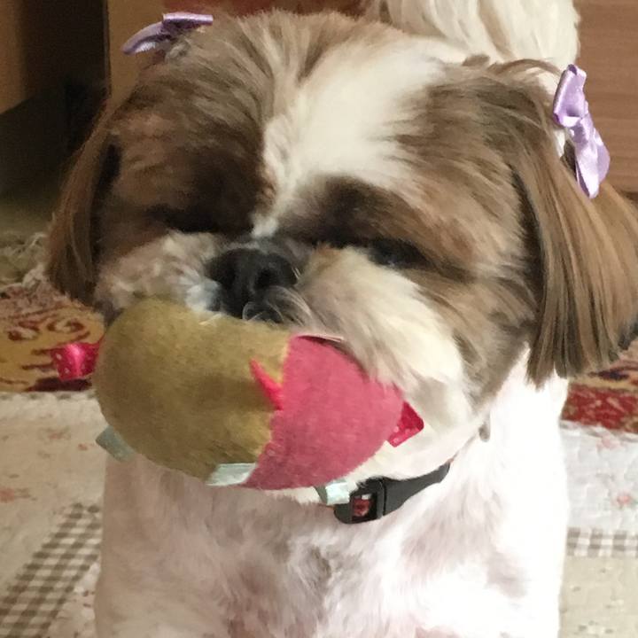 625dbe4f bfac 4d54 b49c 8a0885cfe43e