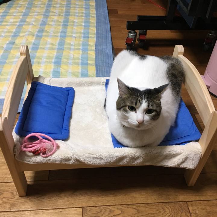 625dc36a 4c33 4885 a343 3d41e8e5b0fd