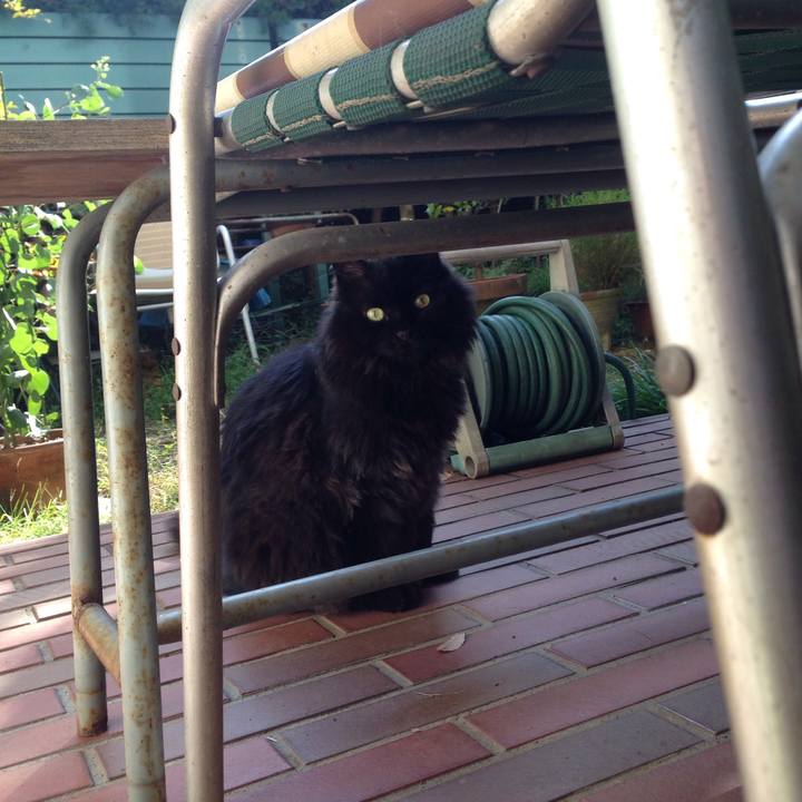 625f09d4 46c9 436f 87c4 ad7bc6ffd1e7