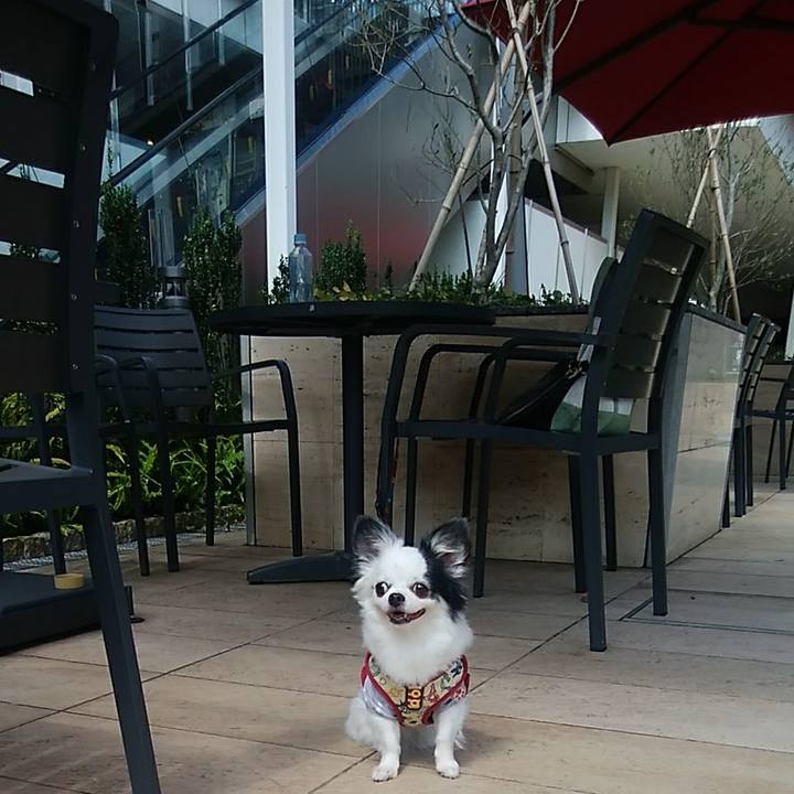 625f4909 cf3d 42fb acbe 668c33d15f90