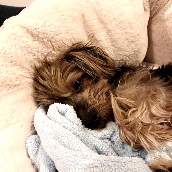 625f8a91 107f 48b8 984f 1172fa96d1c3