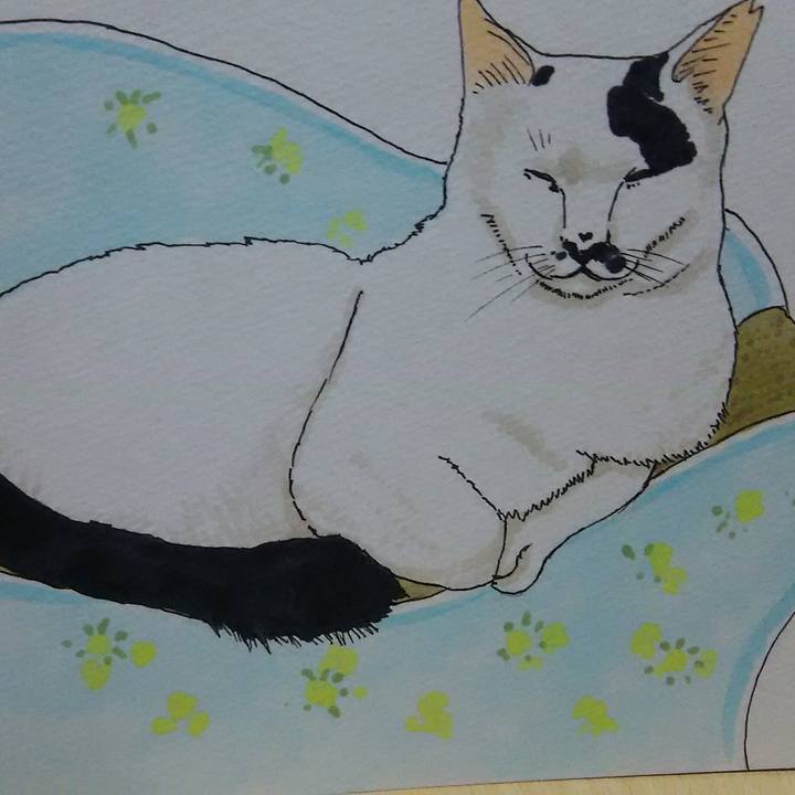 625fb588 9c73 4785 8f75 a8b41c3f2abc