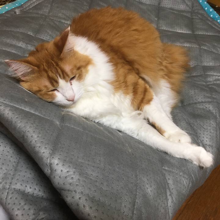 625fc9da 8384 43ef a2e3 65f0cedff852